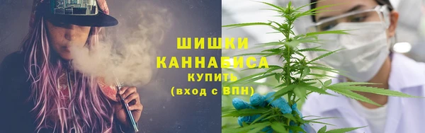 PSILOCYBIN Новодвинск