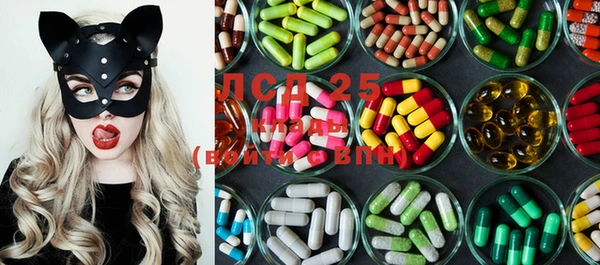 PSILOCYBIN Новодвинск