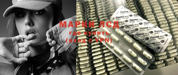 трава Новозыбков