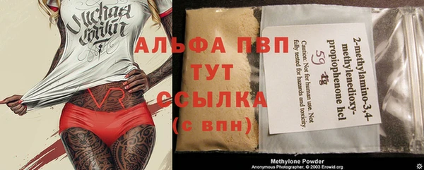 трава Новозыбков