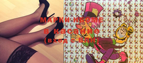 трава Новозыбков